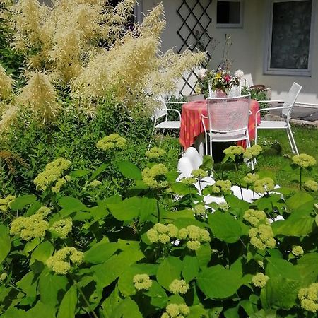Secret Garden House In The Center Of Sigulda Villa Luaran gambar